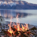 dusty-book-and-faded-papers avatar