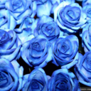 duygusuzbirhayat-blog avatar