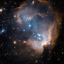 dwaboutitbbgrl avatar