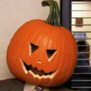 dwightschruteofficial avatar