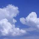 dynamicsofanantfarm avatar