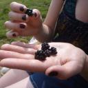 eachpeachpoppyplumm avatar