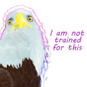 eagleagle avatar