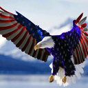 eagles-and-american-flags avatar