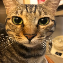 earlgreygirlfriend avatar