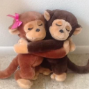 earthangelonshroomz avatar