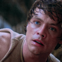 easilydistractedbygeese avatar