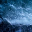 eastcoastelitists avatar