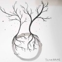 eastern-lights avatar