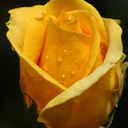 eastsideartemis avatar