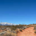 eatthemallplease avatar