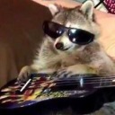 eccedentesiastic-flower avatar