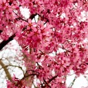 eccentricphilosoph avatar