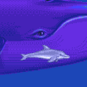 ecco-star avatar
