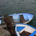 eclecticanthology avatar