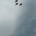 edgynameformyblog avatar