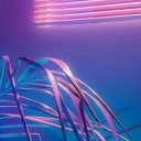 edlins-machine avatar