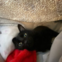 efimeraeternidad avatar