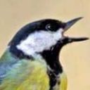 eggwithoutleg avatar