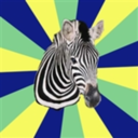 ehlersdanloszebra avatar