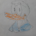 eiderduckcoot avatar