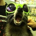 eidleweiss301 avatar