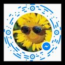 eileenwhiteshieldwashee avatar