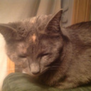 eilitintheheartland avatar