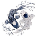 einsteinandeddington avatar