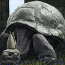 eldenturtle avatar