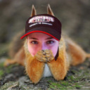 elder-squirrel avatar