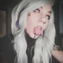 elderlittlefox avatar