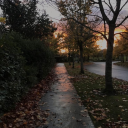 eldr1tchh0und avatar