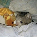 eldrichhorrornyaa avatar