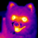 eldritchgirlthing avatar