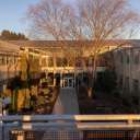 electricfishes avatar