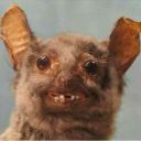 elegantlydecayed avatar