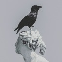 elevenfeathers avatar