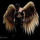 elidatorofluciousferro avatar