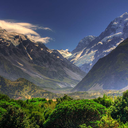 elisamaltauro avatar