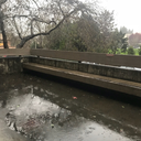 elizabethlynnz avatar