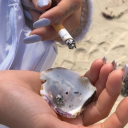 elizabethwoyo avatar