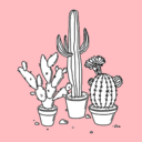 ellecactus avatar