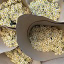 elliott-calls avatar