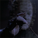 elliottspencer avatar