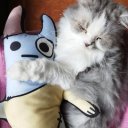 elparaisoinhabitado avatar