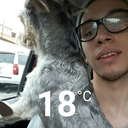 elricguineveremorgan avatar