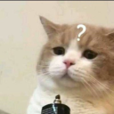 elsecallerellie avatar