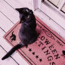 elysianreprise avatar