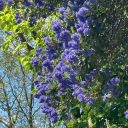 embracing-the-unknown avatar